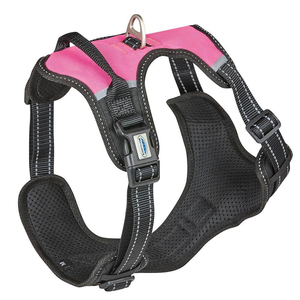 Weatherbeeta Anti Pull Travel Harness Black Pink