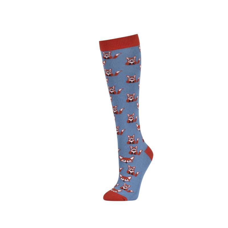 Dublin Single Pack Socks Foxes Adults One Size