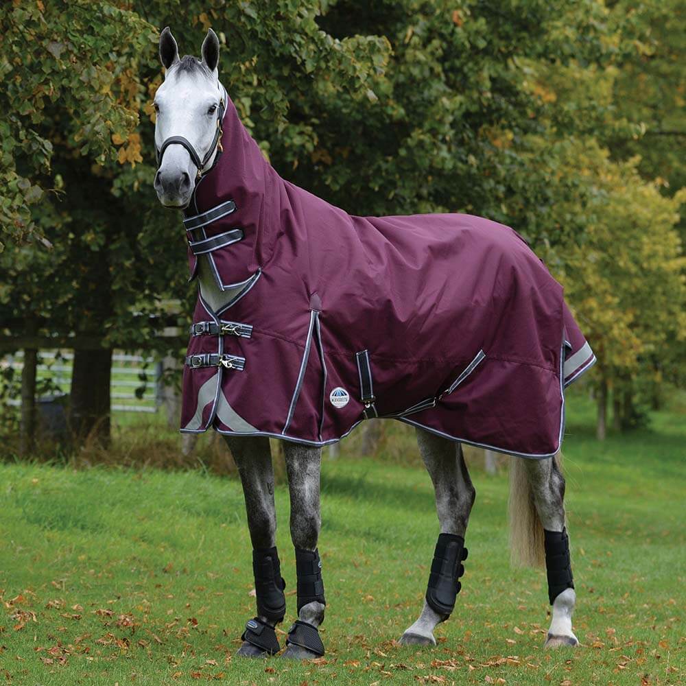 Weatherbeeta Comfitec Plus Dynamic II Combo Neck Medium Maroon Grey White-Pet n Pony-Weatherbeeta