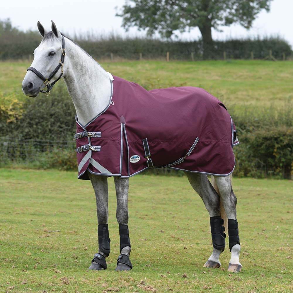Grey horse in a Weatherbeeta Comfitec Plus Dynamic II maroon/grey/white medium-weight blanket.