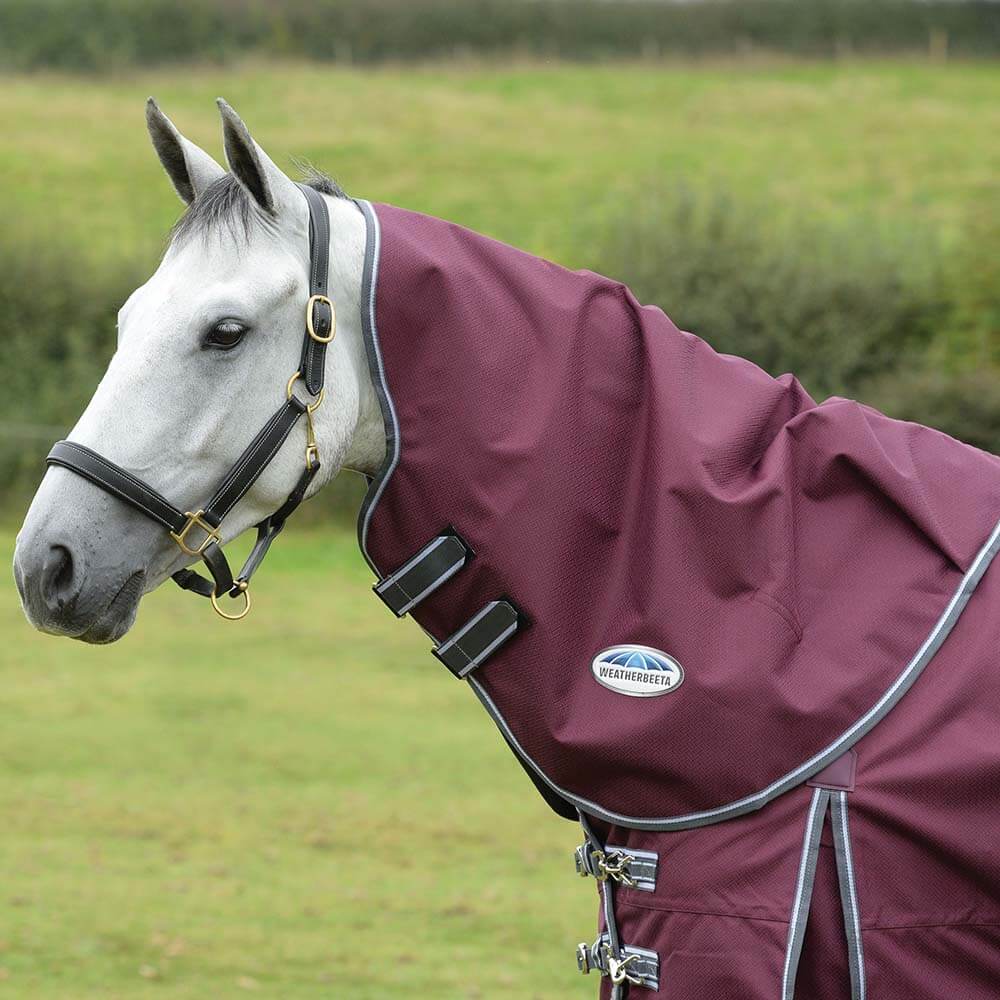 Gray horse in a maroon Weatherbeeta Comfitec Plus Dynamic II rug stands in a grassy field.