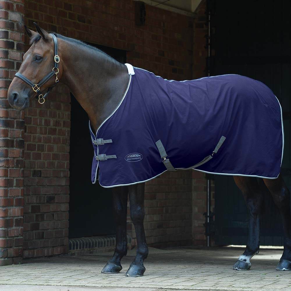 A brown horse wears a Weatherbeeta dark blue show sheet with surcingles by a brick building.