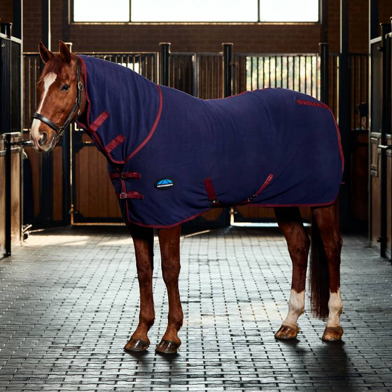 A horse in a Weatherbeeta Anti-Static Fleece Cooler Combo Neck Navy/Burgundy stands in a stable.