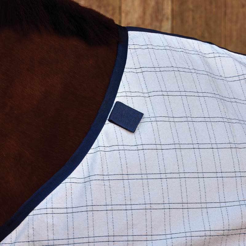 Close-up of a brown horse in a Weatherbeeta Comfitec Cotton Sheet Liner White/Navy.