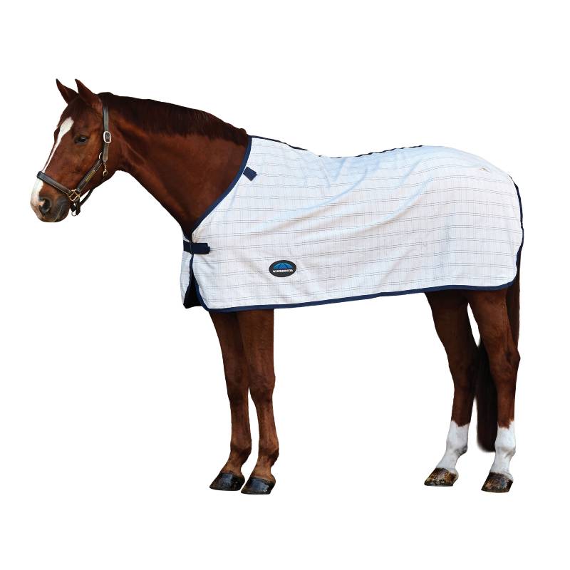 Brown horse in a Weatherbeeta Comfitec Cotton Sheet Liner White/Navy on a white background.