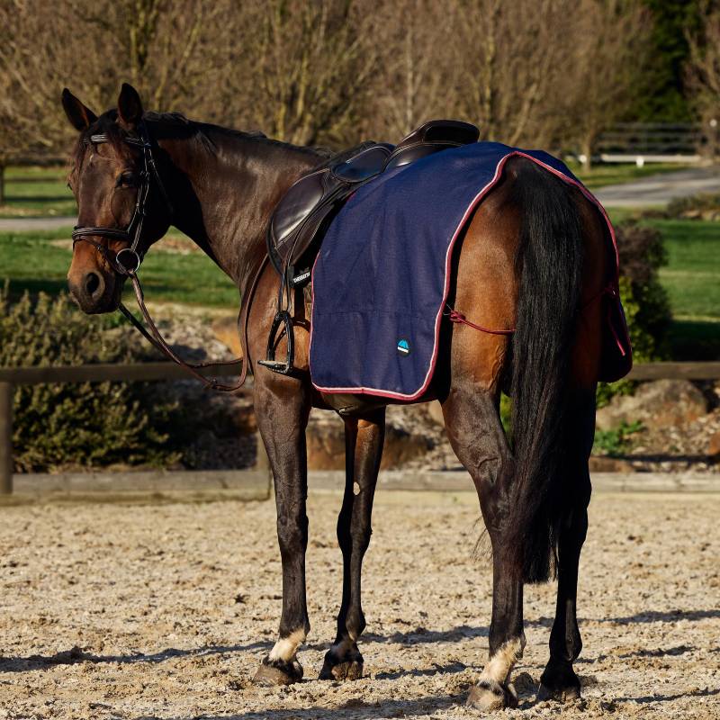 Brown horse in a Weatherbeeta Essential Fleece Lined Quarter Sheet, navy/burgundy, on sand.