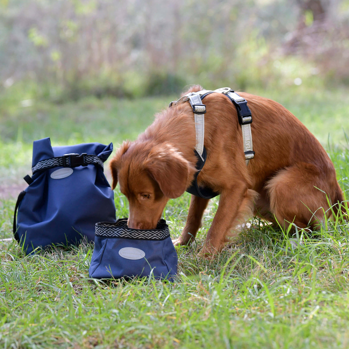 A dog eats from a Weatherbeeta Explorer Bowl beside a blue bag on the grass.