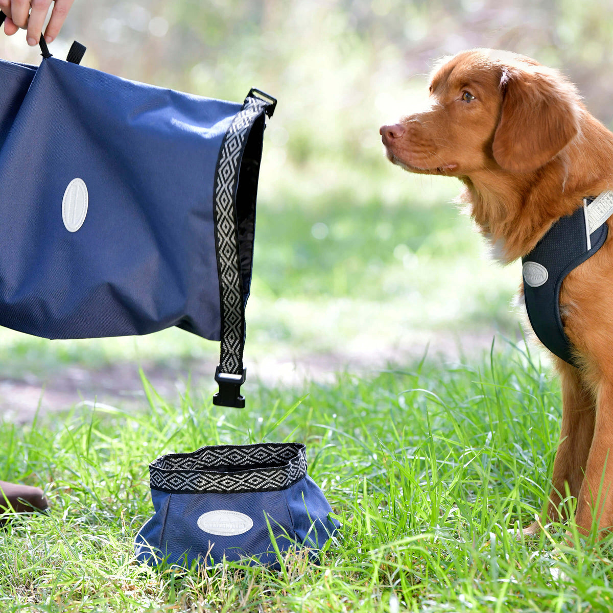 A dog in a harness sits outside with a Weatherbeeta Explorer Dog Food Bag and a blue water bowl.