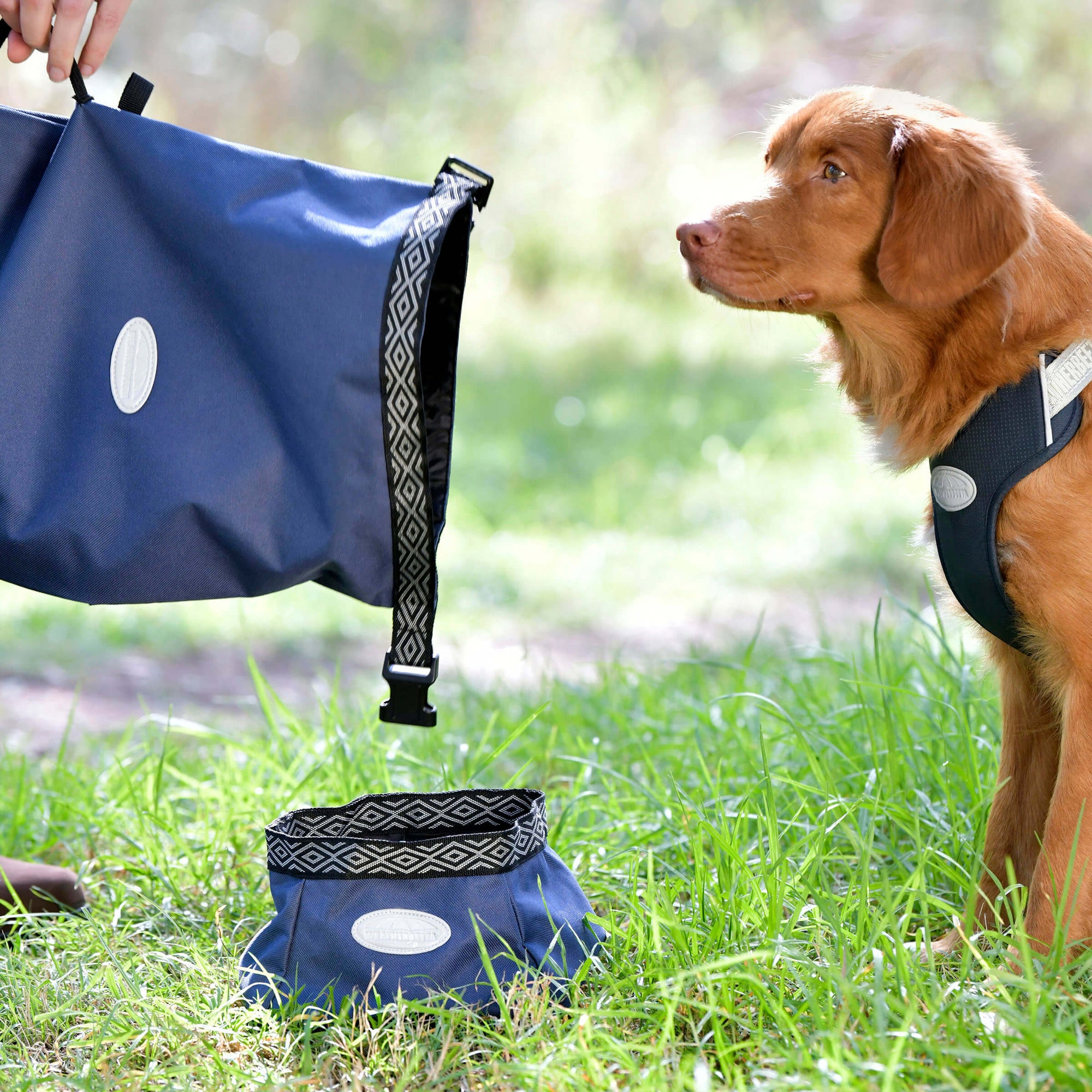 Weatherbeeta Explorer Dog Food Portable Bag Navy One Size-Pet n Pony-Weatherbeeta