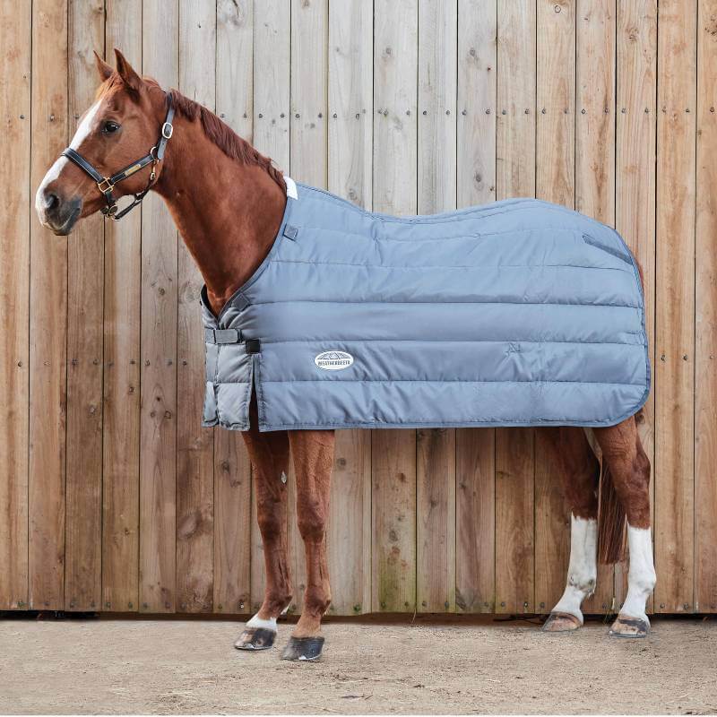 A brown horse in a Weatherbeeta Comfitec Thermi Heat Liner Stable Rug Grey 100g stands nearby.