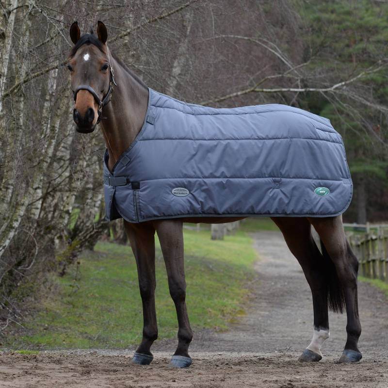 Brown horse in a grey Weatherbeeta Green-Tec Liner stands on a dirt path near grass.