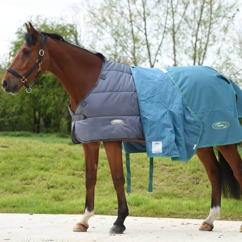 A brown horse in a grey Weatherbeeta Green-Tec Liner stands on grass near trees.