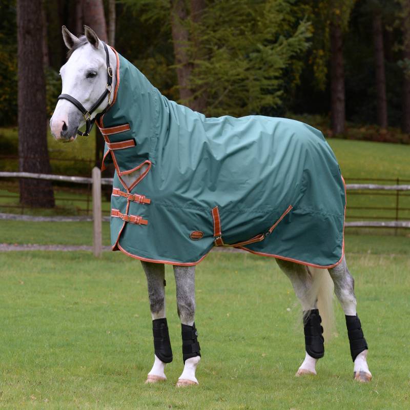 A gray horse in a Weatherbeeta Comfitec Tyro Combo Neck green blanket stands on grass.