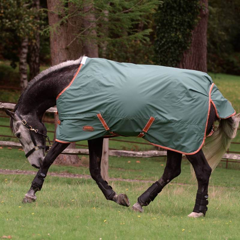 A horse in a Weatherbeeta Comfitec Tyro green/burnt orange blanket walks on grass.