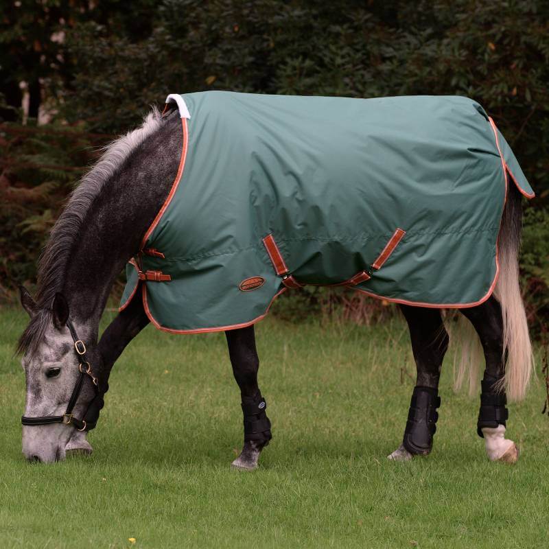 A gray horse in a Weatherbeeta Comfitec Tyro green blanket grazes on grass.