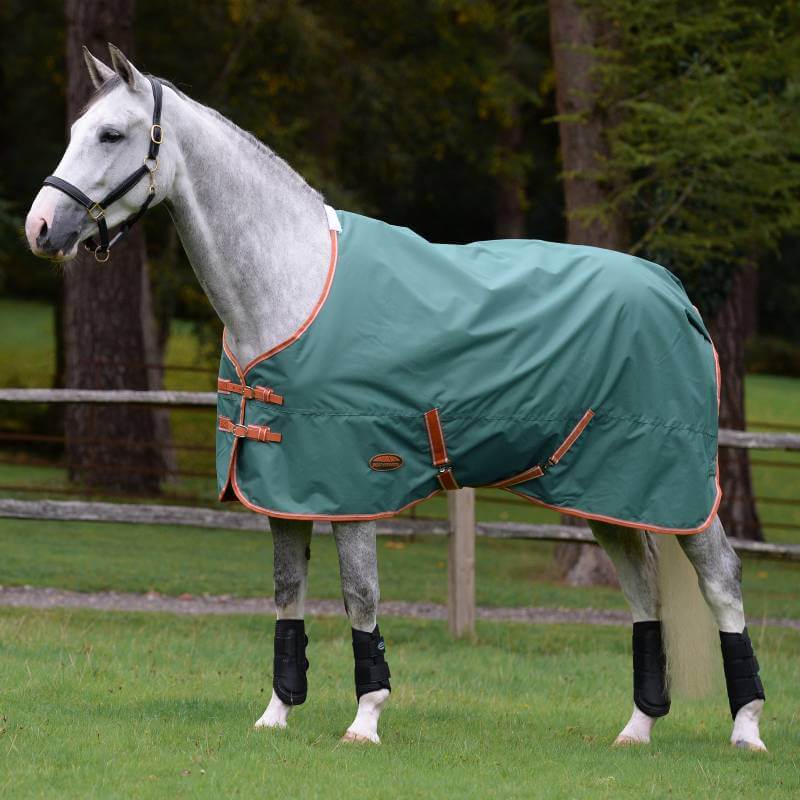 A gray horse stands in a field wearing a Weatherbeeta Comfitec Tyro green blanket.