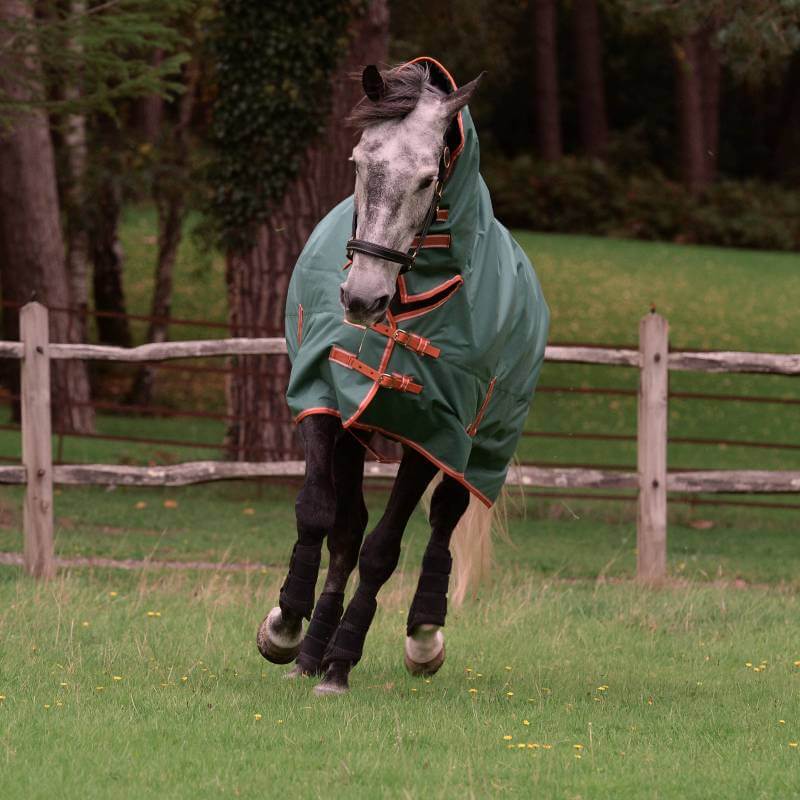 A horse in a Weatherbeeta Comfitec Tyro Combo Neck Lite Plus rug runs on grass by a fence.