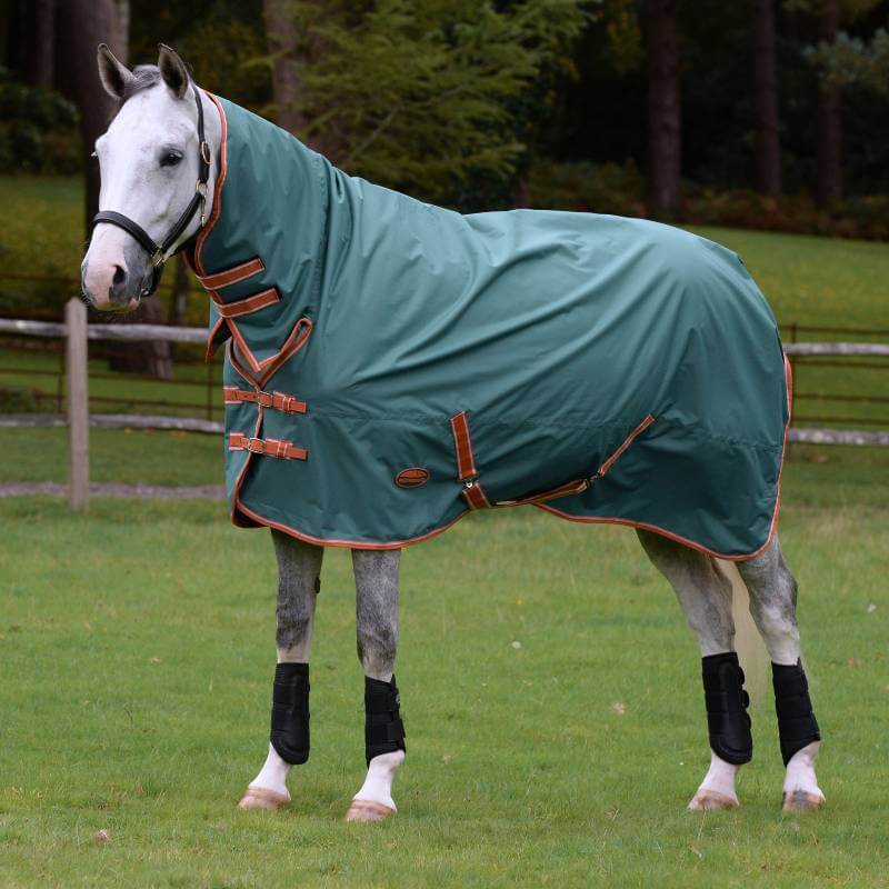 White horse in Weatherbeeta Comfitec Tyro Combo Neck Lite Plus green rug, black leg wraps.