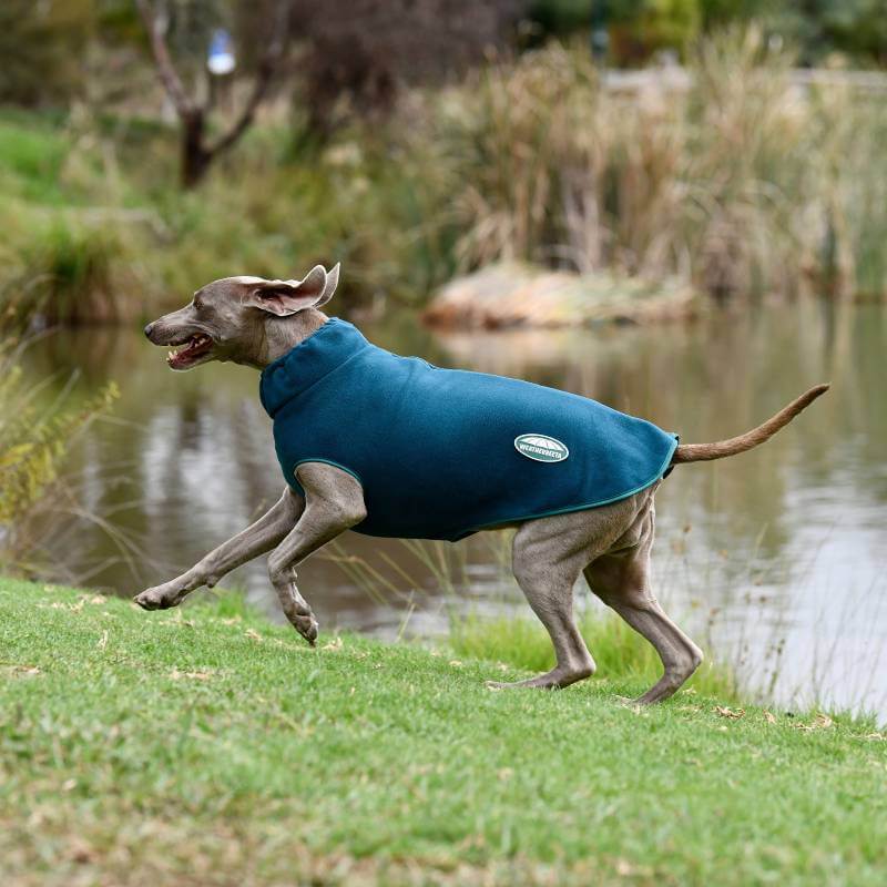 Weatherbeeta Green-Tec Fleece Zip Dog Coat Dragonfly Blue/Bottle Green