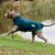 Weatherbeeta Green-Tec Fleece Zip Dog Coat Dragonfly Blue/Bottle Green