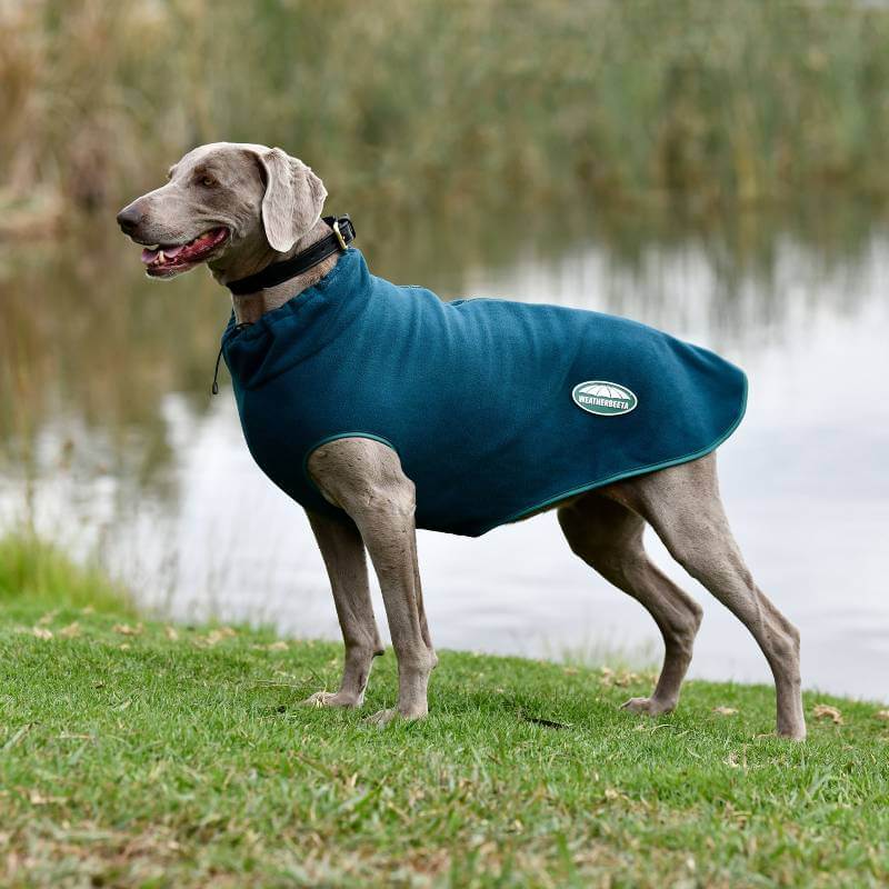 Weatherbeeta Green-Tec Fleece Zip Dog Coat Dragonfly Blue/Bottle Green