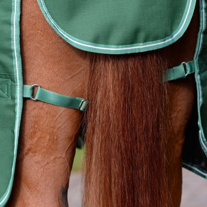 Saxon Defiant 1200D Standard Neck Medium Weight Turnout Rug 200g Hunter Green/White