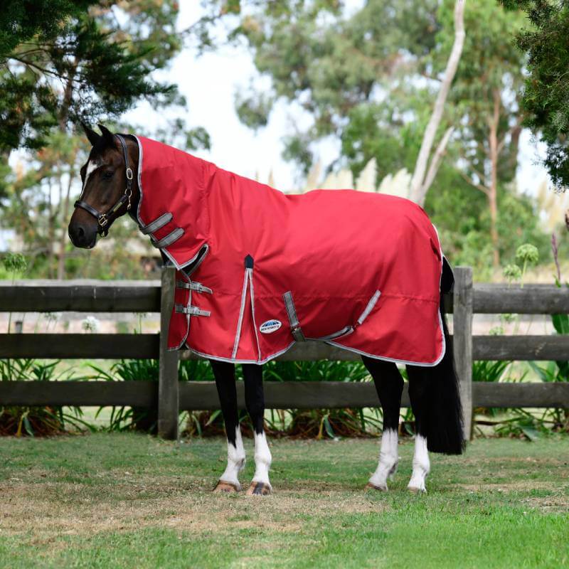A horse in a Weatherbeeta Comfitec Classic Combo Neck Lite Plus stands on grass by a fence.