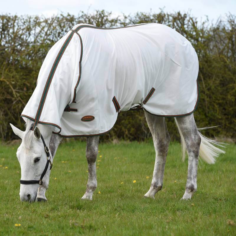A white horse in a Weatherbeeta Comfitec Tyro Mesh Combo Neck grazes by a hedge.