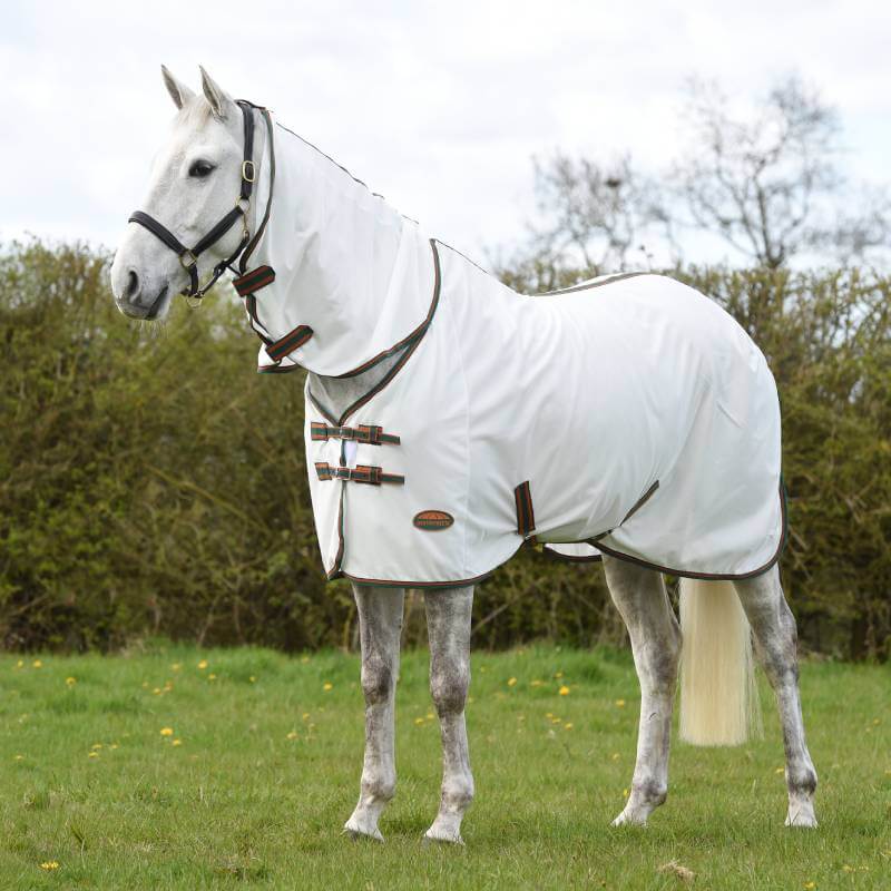 A white horse wears a Weatherbeeta Comfitec Tyro Mesh Combo Neck in white/green/burnt orange.