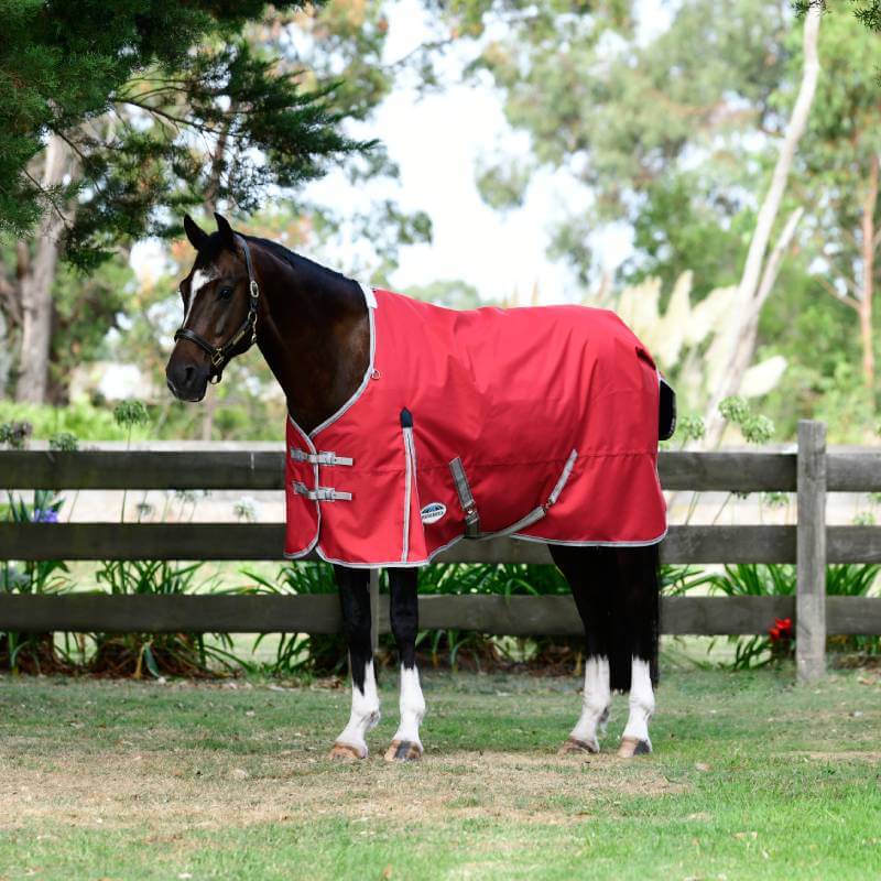 A horse in a Weatherbeeta Comfitec Classic Lite Plus rug stands on grass by a wooden fence.