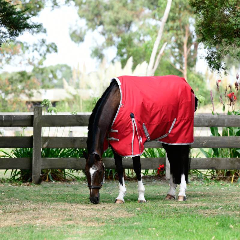 Weatherbeeta Comfitec Classic Standard Neck Lite Plus Red/Silver/Navy