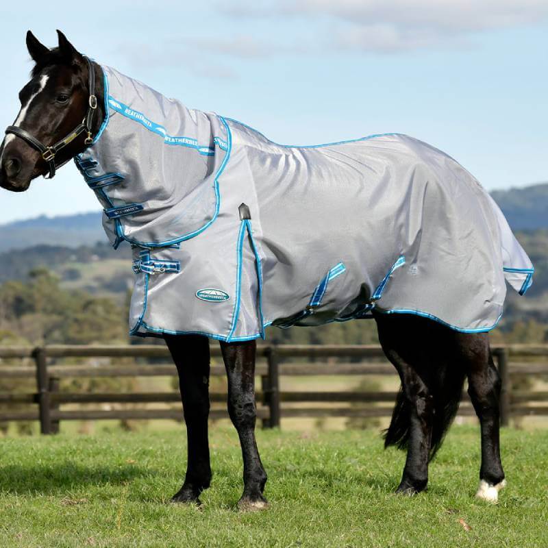 Black horse in a Weatherbeeta Comfitec Hexi Shield Silver/Teal Blue rug stands near a fence.