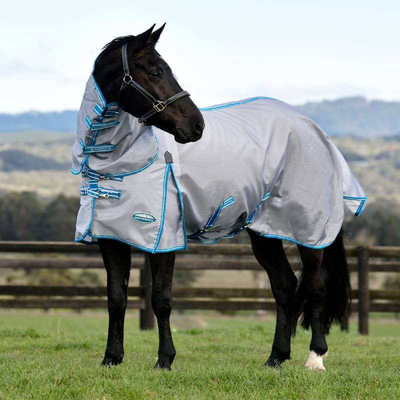 Black horse in a Weatherbeeta Comfitec Hexi Shield Silver/Teal Blue rug stands near a fence.