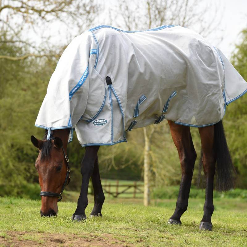 A horse in a Weatherbeeta Comfitec Hexi Shield Silver/Teal Blue rug grazes on grass outdoors.