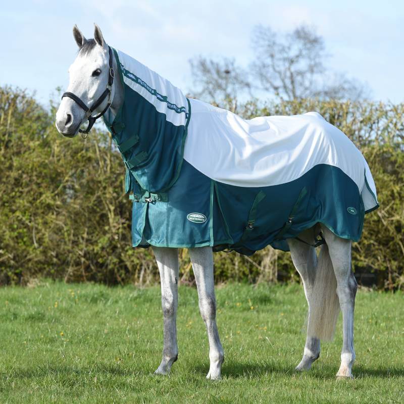 A horse in a Weatherbeeta Comfitec Green-Tec Airflow Mesh Combo Neck White/Dragonfly Blue.