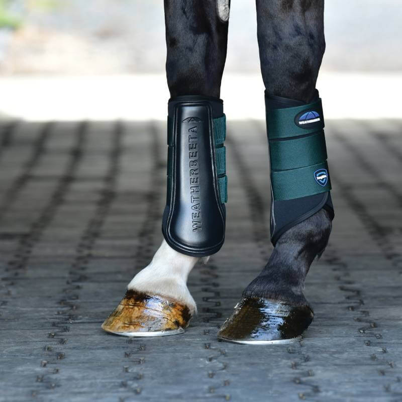Weatherbeeta Tough-Tec Prime Brushing Boots in Black/Forest Green on horse’s legs outdoors.