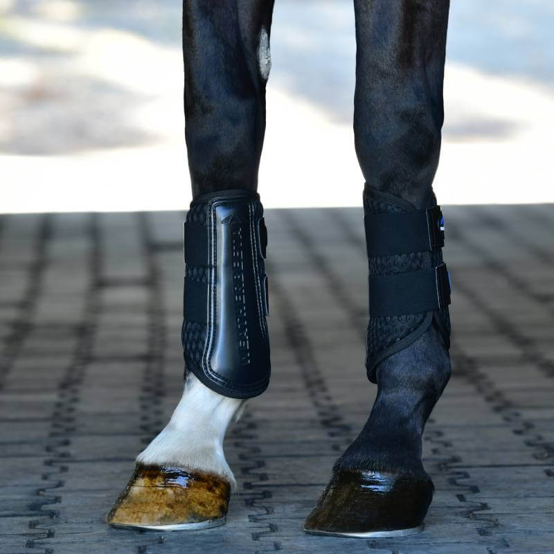 Close-up of Weatherbeeta Tough-Tec Mesh Brushing Boots Black/Black on horse legs.