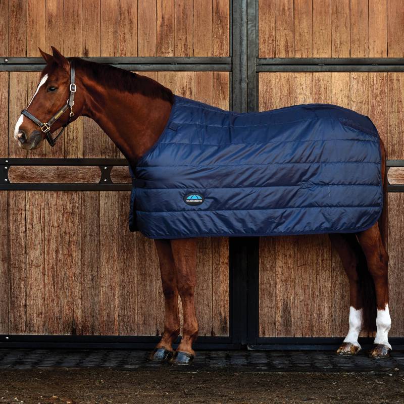 A brown horse in a Weatherbeeta Comfitec Heavy Weight Navy 300g liner stands by stable doors.