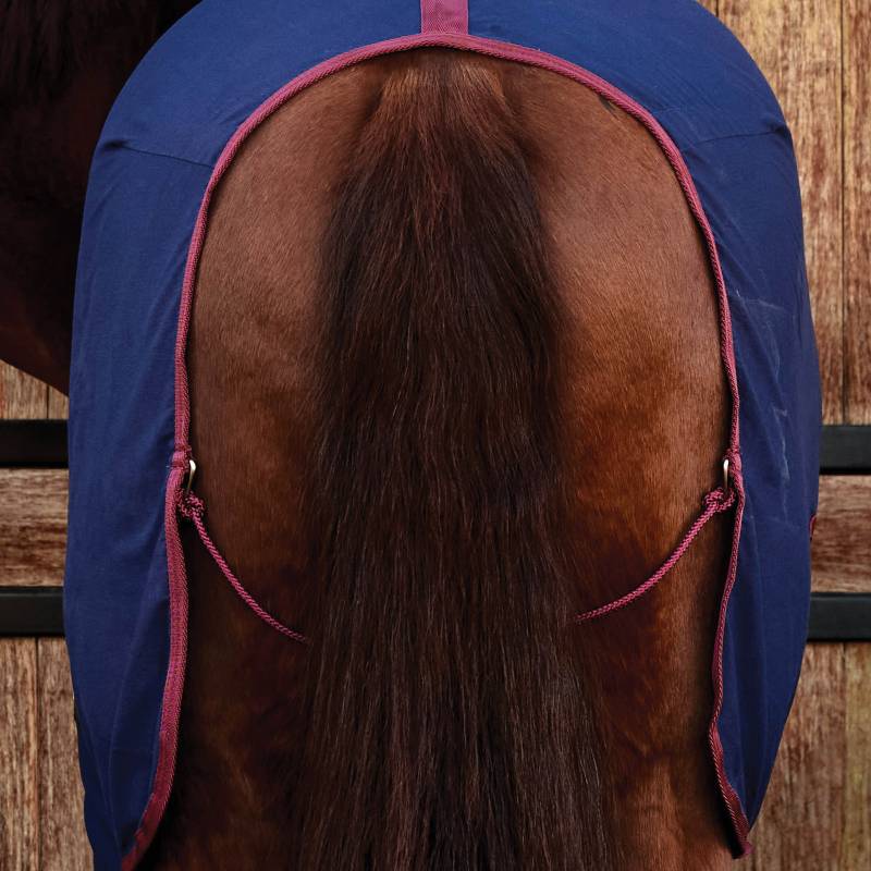 A horse’s hindquarters in a Weatherbeeta Cotton Sheet Standard Neck Navy/Burgundy by a wooden wall.