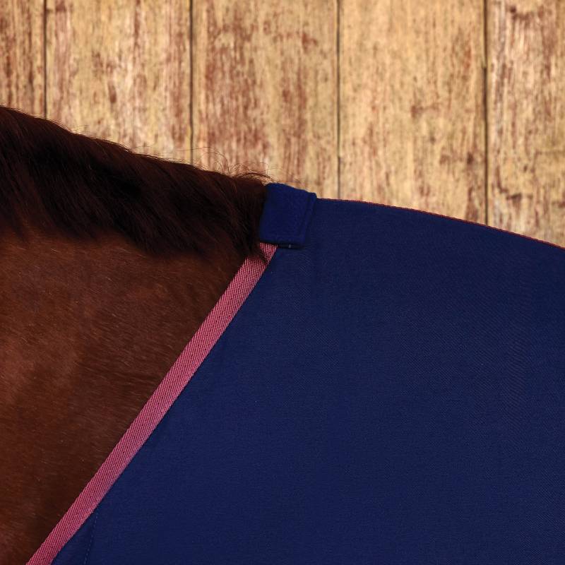Close-up of a horse in a Weatherbeeta Cotton Sheet Standard Neck Navy/Burgundy by a wooden wall.