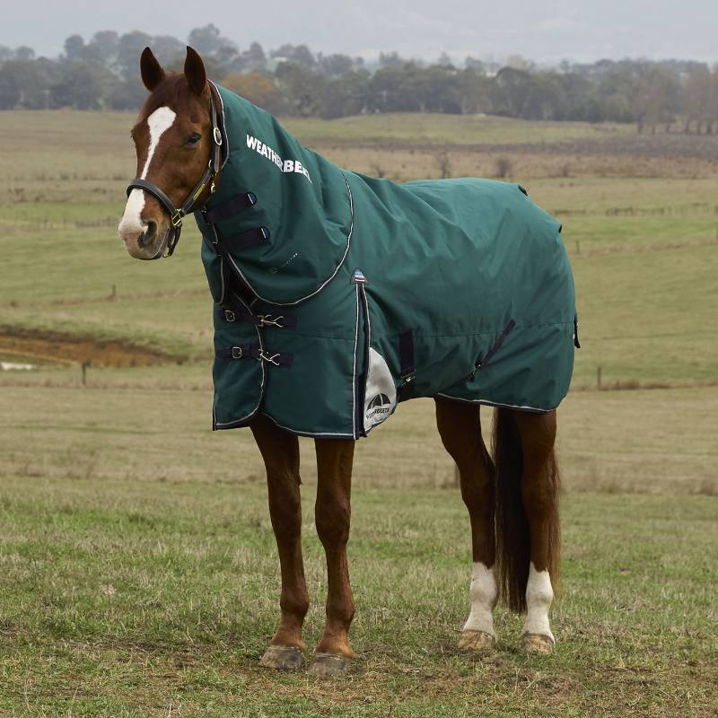 A horse in a Weatherbeeta forest green turnout rug stands in a grassy field.