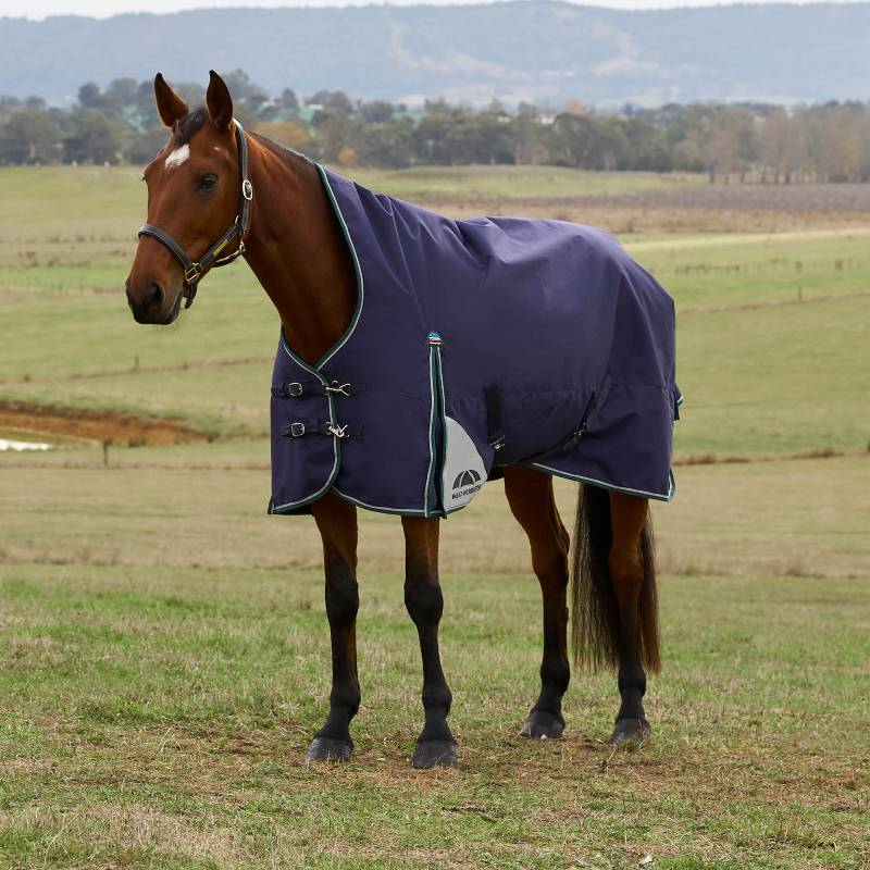 A brown horse in a Weatherbeeta turnout rug stands in a grassy field with hills behind.