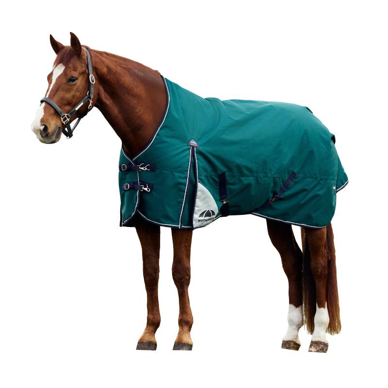 A horse in a Weatherbeeta Comfitec Plus Dynamic forest green/navy turnout rug on white.