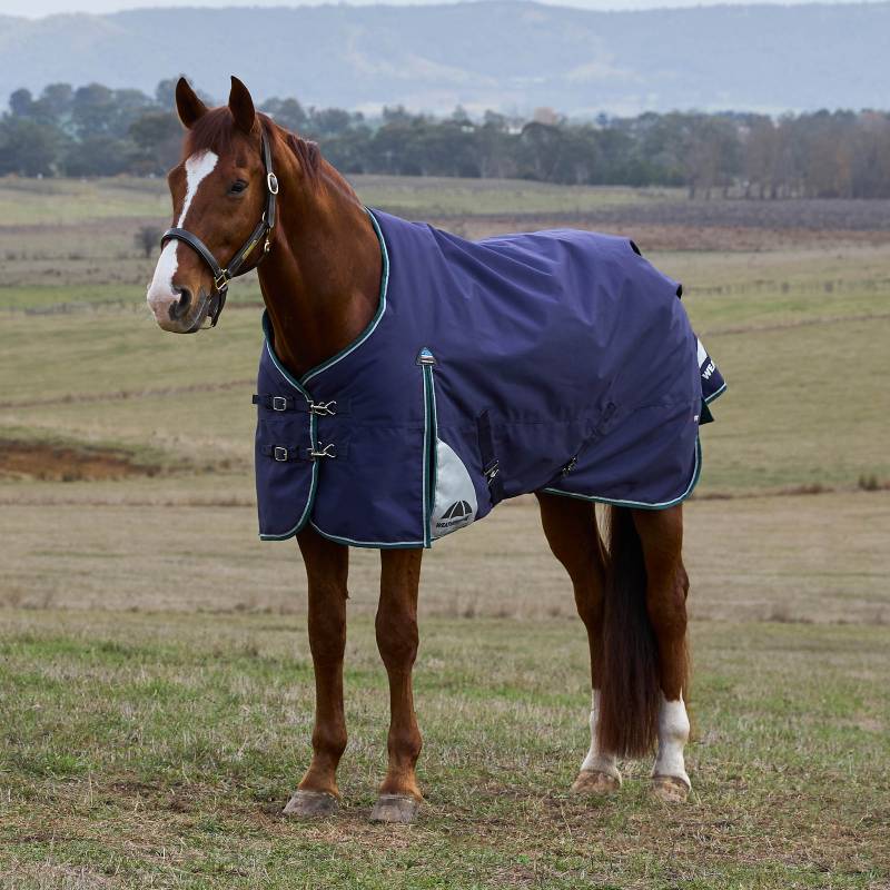 A horse wears a Weatherbeeta Comfitec Plus Turnout Rug in navy/forest green in a grassy field.