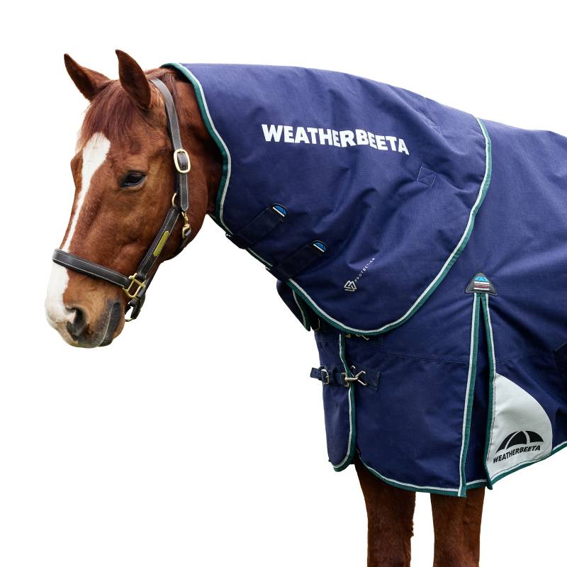 Chestnut horse in a navy/forest green Weatherbeeta Comfitec Plus Dynamic 100g neck cover.