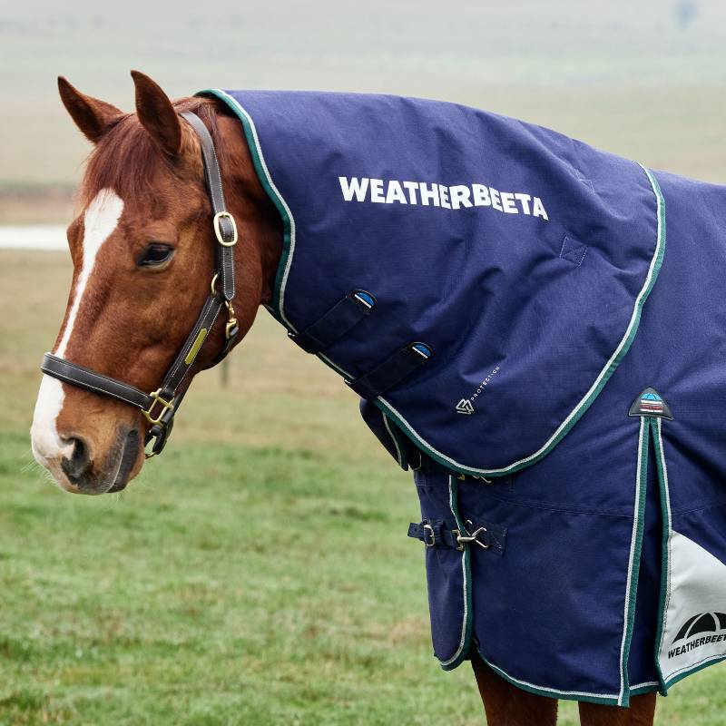 Brown horse in a Weatherbeeta Comfitec Plus Dynamic 220g navy/green neck cover on grass.