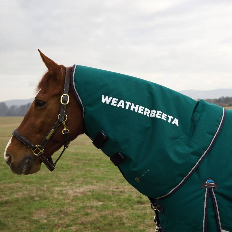 Brown horse in a green Weatherbeeta Comfitec Plus Dynamic neck cover on a cloudy field.