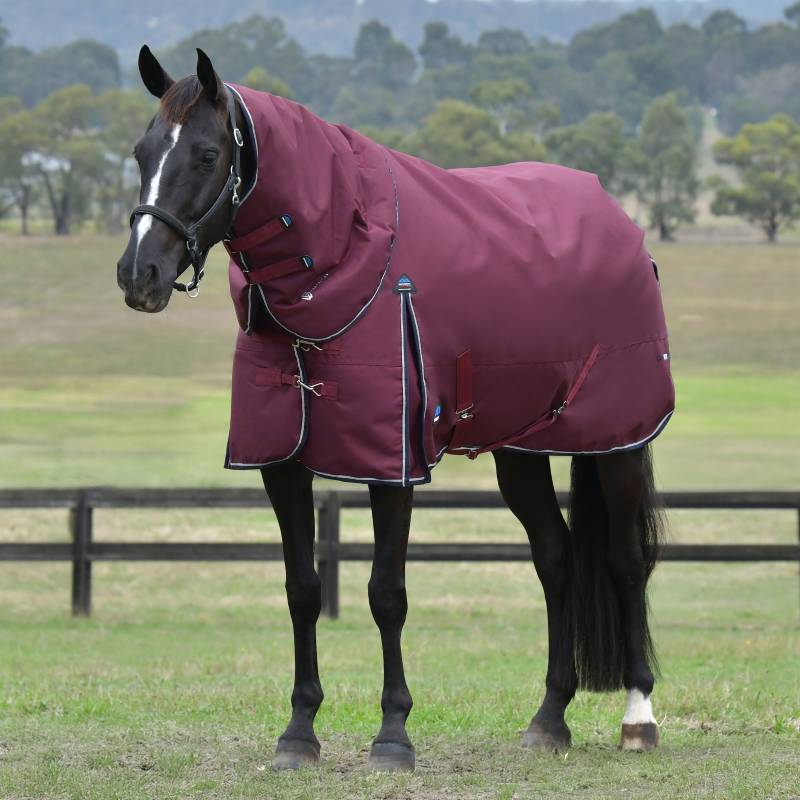 A black horse wears a Weatherbeeta burgundy/navy turnout rug in a grassy field.