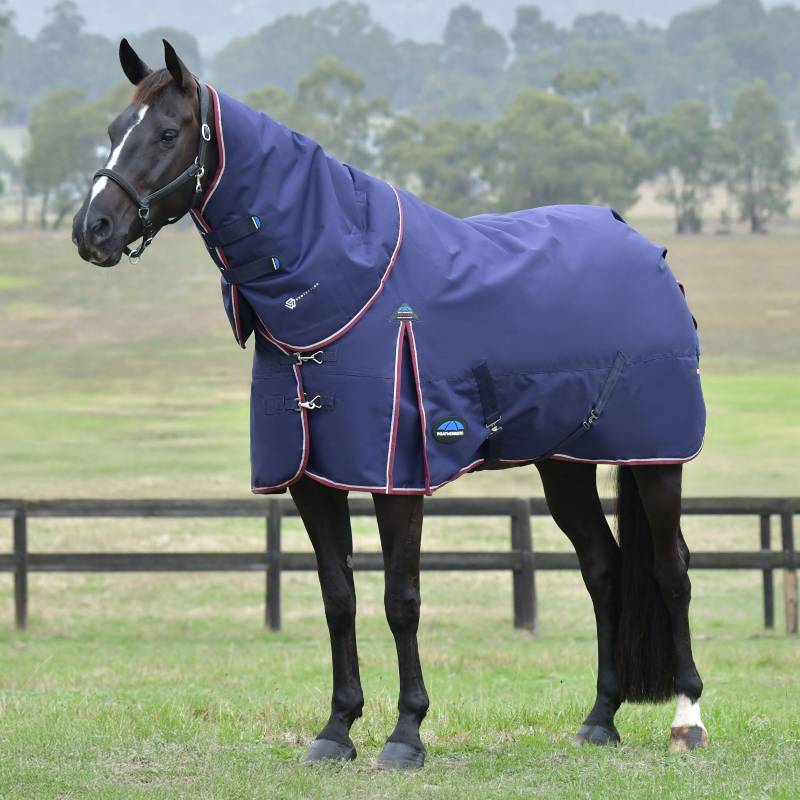 A black horse in a Weatherbeeta turnout rug stands in a grassy paddock.