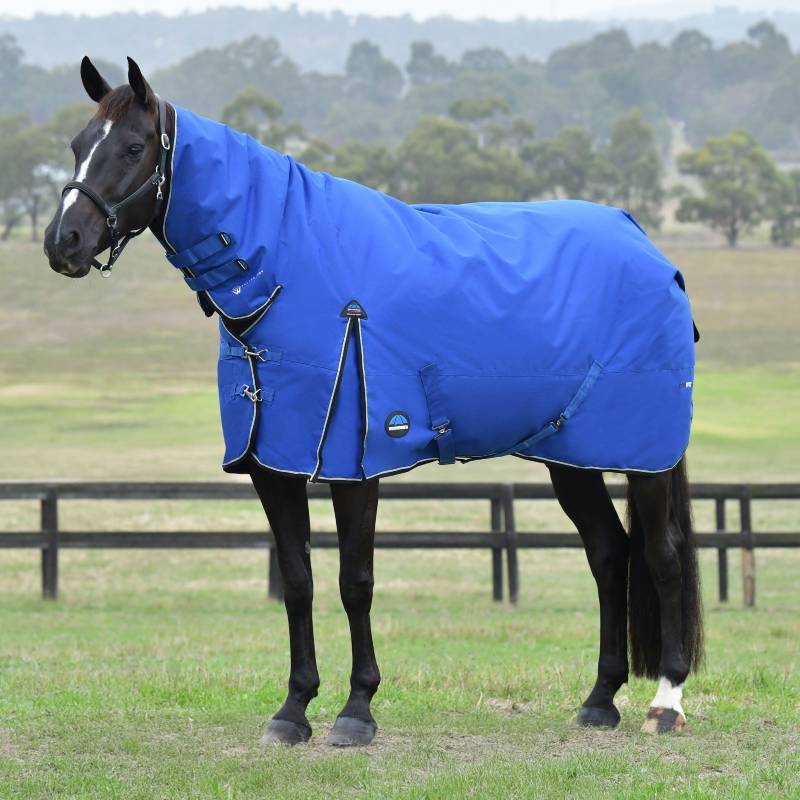 A horse in a Weatherbeeta Comfitec Essential Combo Neck rug (Cobalt/Black) stands by a fence.